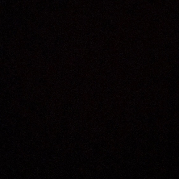 Meet your Posher, Peyton - Picture 1 of 1